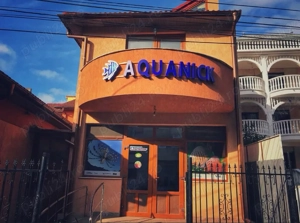 Pesti de acvariu - Aquanick - imagine 4