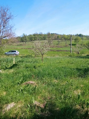 Teren intravilan certejul de jos