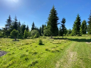  Fugi de oraș! Teren 3300 mp în Beliș   loc perfect pentru cabană