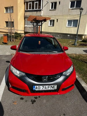 Se vinde un vis, un prieten de incredere care tine cu buzunarul tau ! - imagine 5