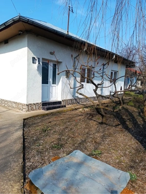 Casa in Com Chiselet Jud Calarasi - imagine 5