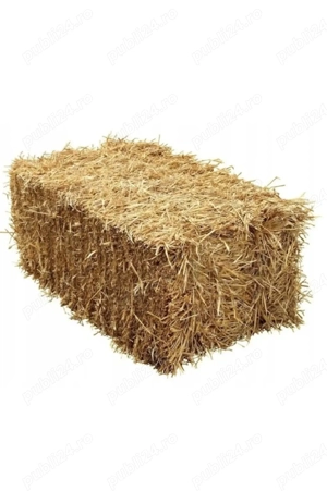 Baloti de fan sat posta 