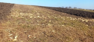 Teren de vanzare - imagine 2