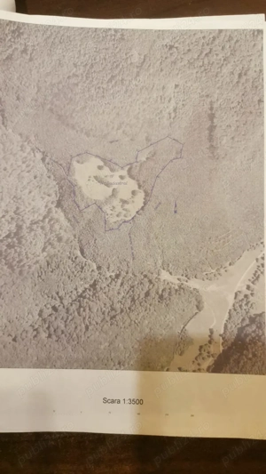 Teren 3.5 ha  extravilan Bihor( pasune si padure)