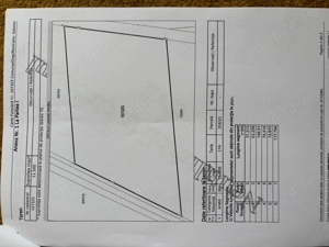 DE VÂNZARE TEREN ARABIL la Salonta, de la proprietar, cu acte în regulă.  - imagine 3