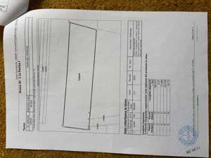 DE VÂNZARE TEREN ARABIL la Salonta, de la proprietar, cu acte în regulă. 