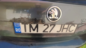 skoda rapid 2015 - imagine 3