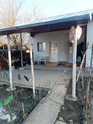 Casa in Com Chiselet Jud Calarasi - imagine 10