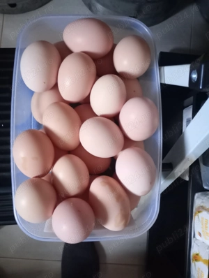 Ouă de casă de găină și miere de albine 