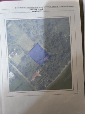 Vând teren intravilan cu vie.