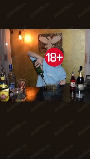    Barman pentru evenimente   servicii profesionale