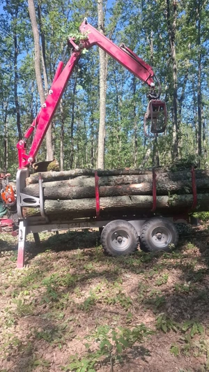 Vând remorcă lemne nouă (bușteni) pentru tractor (cu sau fără macara) - imagine 2