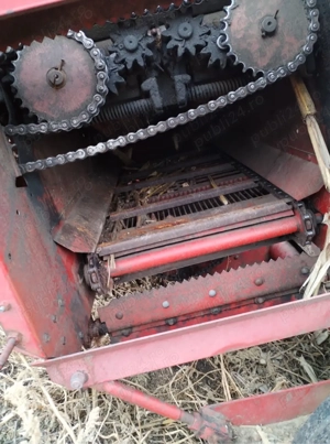 culegator  - imagine 4