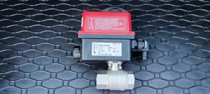 Servomotor Rotativ Valpes ER 20