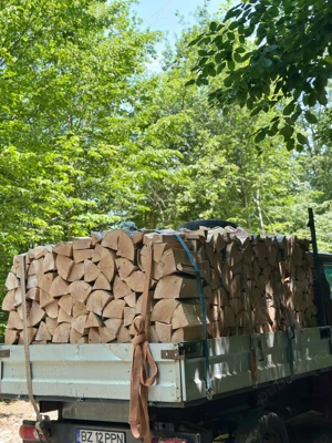 Avem lemne pentru orice buzunar 