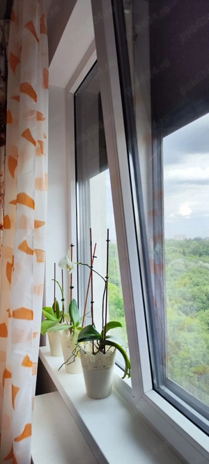 Apartament 2 camere Drumul Taberei - imagine 10