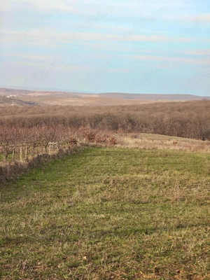 Teren pentru dezvoltare, lângă Oradea