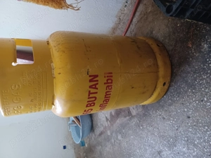 Vind butelie galbena