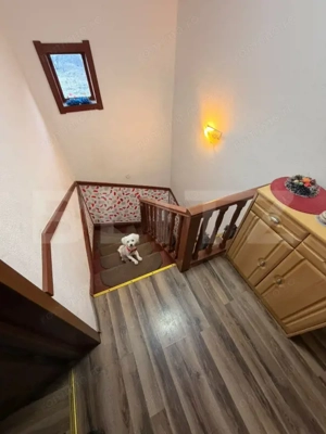 Casa multifunctioanala  100 mp utili, 2000 mp teren, Sadova - Bucovina  - imagine 16