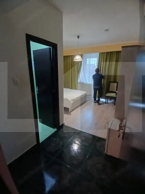 Pensiune 14 camere cu bai proprii si intrari separate, 500 mp, zona Mehala - imagine 10