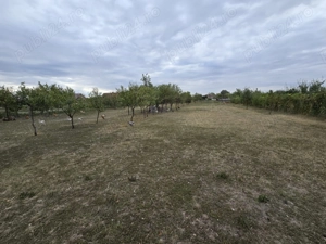 Vand casa sat Turnu, Jud. Arad - imagine 4