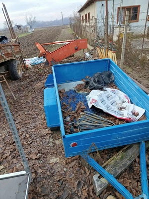 Masina de scos cartofi cu banda - imagine 5