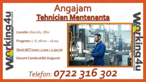 Tehnician Mentenanta Fabrica de Mase Plastice