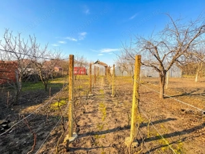 Comision 0% | Casă 155 mp + teren 701 mp | Ciacova | Reprezentare Exclusivă - imagine 3