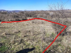 teren in Terova  - imagine 5