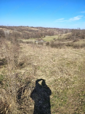 teren in Terova  - imagine 7