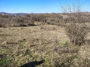 teren in Terova  - imagine 6