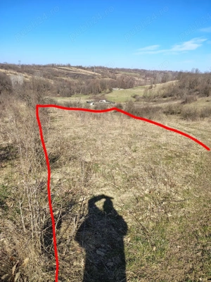 teren in Terova  - imagine 8