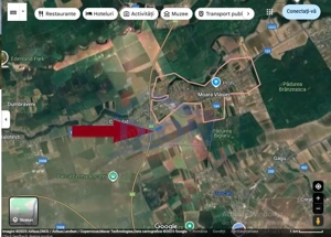 Teren Moara Vlasiei super pret, ideal pentru investitie - imagine 3