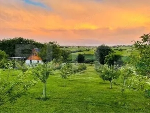 Cabană cu livadă și panoramă superbă – Refugiu în natură, Blaj - imagine 9
