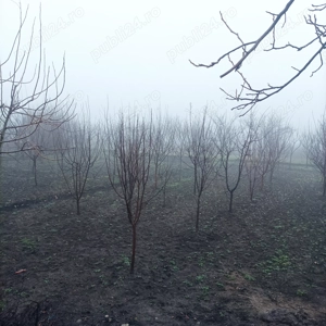 Proprietar vând casă com Ceptura de Jos judetul Prahova