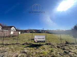 Dumbravita Teren Intravilan 1466mp Front 29m | Langa Padure - imagine 2