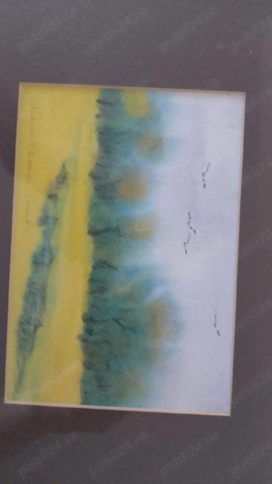 Tablou Acuarelă Autentică - Ileana Ceaușu-Pandele 