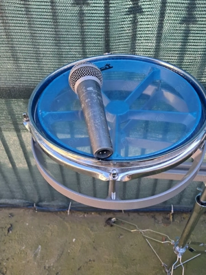 vand tobe  parot  cu fete remo 