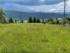 Teren Colibita 1346 mp  - imagine 2