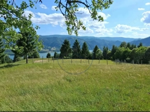 Teren Colibita 1346 mp 