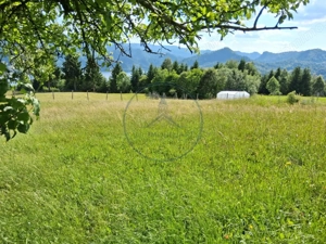 Teren Colibita 1346 mp  - imagine 4