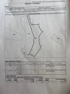  Oportunitate de Investiție: Teren Extravilan Generos în Sichevița - imagine 2
