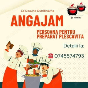 Persoana pentru pregatit Plescavita