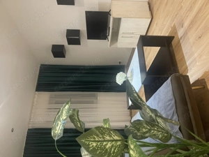 Cazare regim hotelier sector 4 - imagine 2