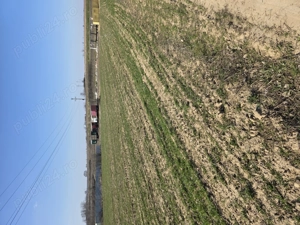 Teren de vanzare Sat Malu Mare Dolj 