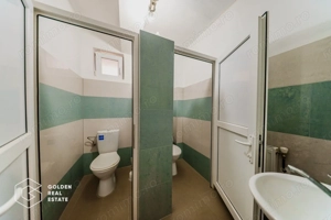 Proprietate pretabila pentru afacere, Cladova - imagine 18