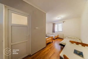 Proprietate pretabila pentru afacere, Cladova - imagine 9