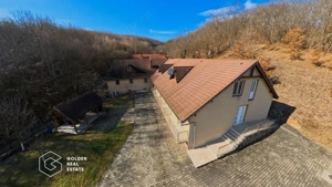 Proprietate pretabila pentru afacere, Cladova - imagine 20