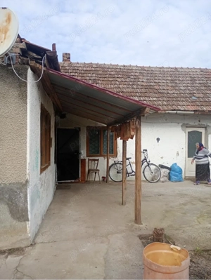 Vand casa in Lenauheim - imagine 2