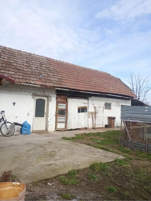 Vand casa in Lenauheim - imagine 3